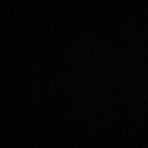 Meet your Posher, Will